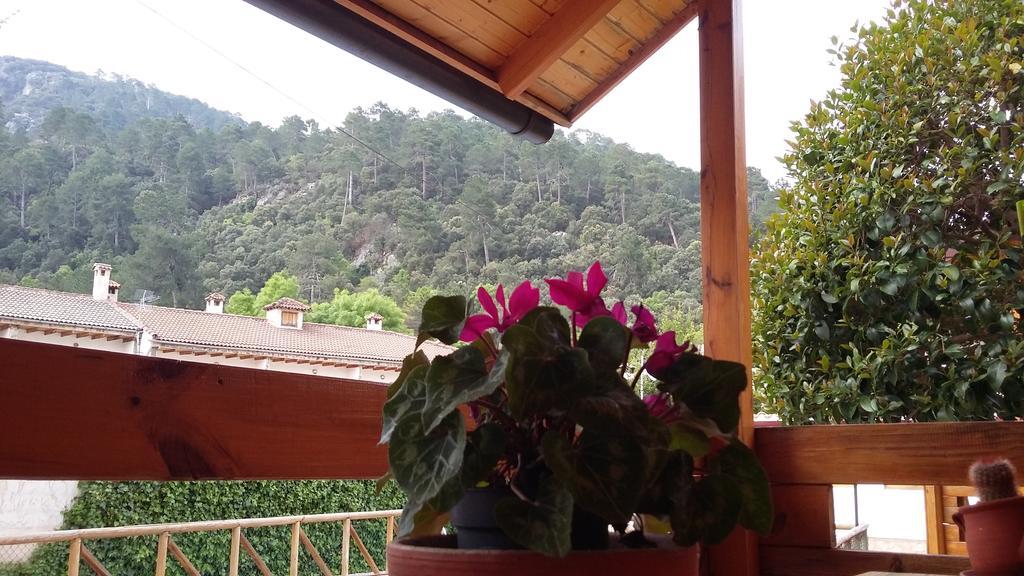 Cabanas De Madera El Rinconcillo Arroyo Frio Bagian luar foto